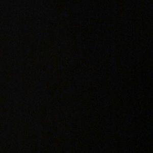 Meet your Posher, Dina